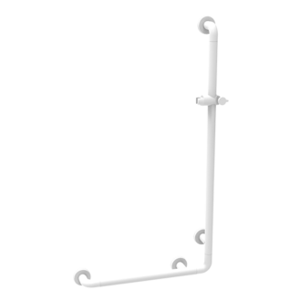 handrail with sliding rail shower