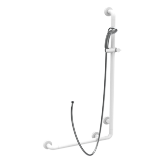 handrail with sliding rail shower