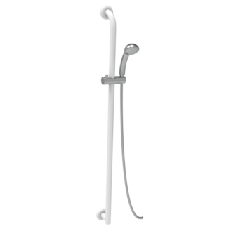 inox handrail with sliding rail shower